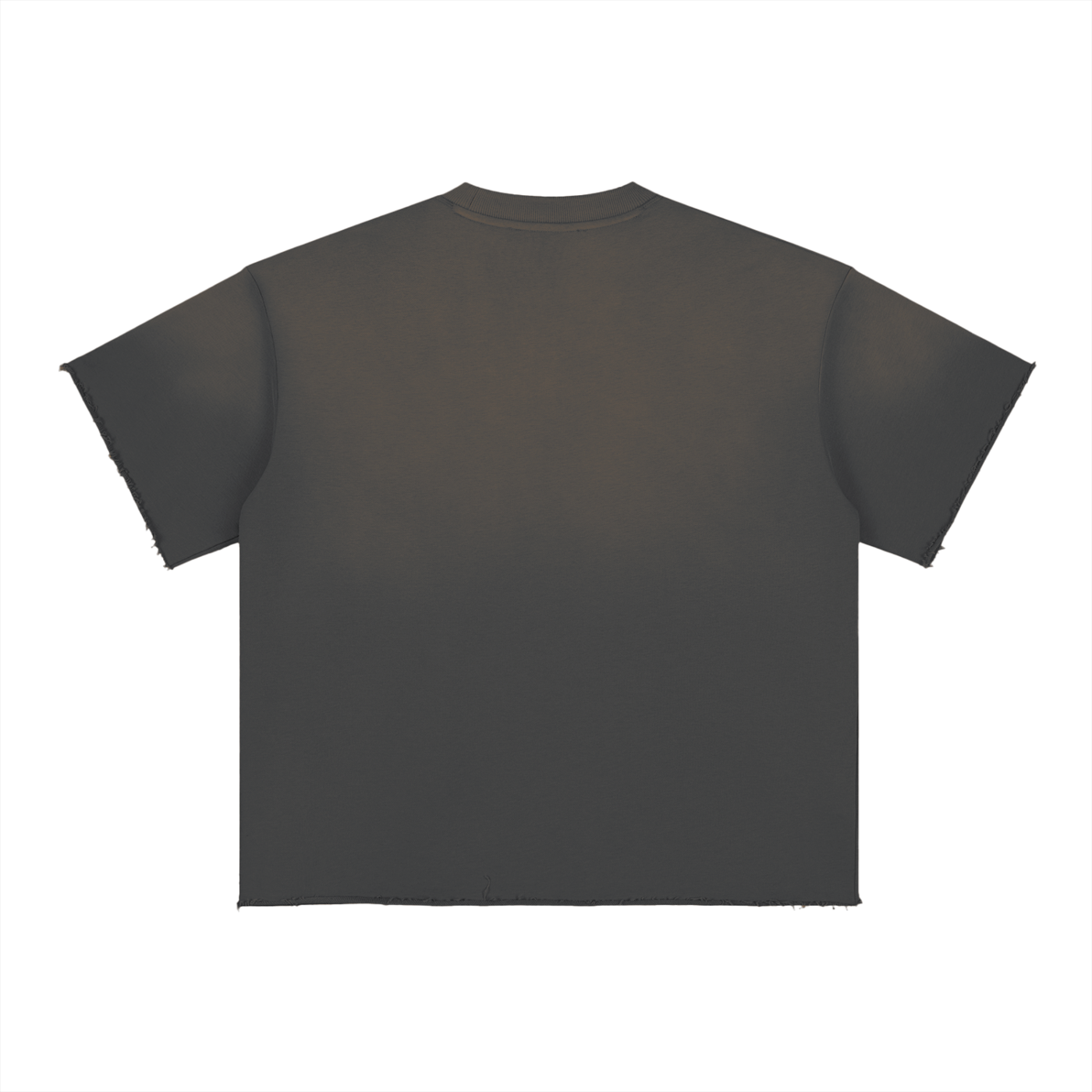 Believers Sun Fade Raw Edge T-Shirt