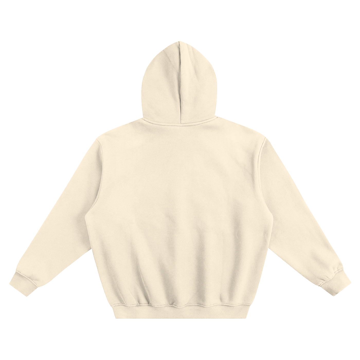 Belivers Fleeced Boxy Hoodie